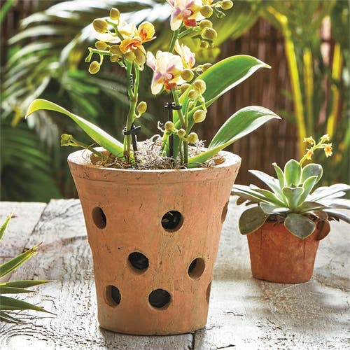 Tag Rustic Terracotta Orchid Pot Garden Planter For Flowers In Orange