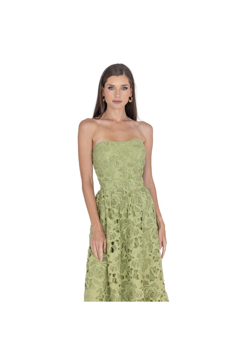 Amelia Lace Bustier Midi Dress Guipure Lace, Alternate, color, GREEN