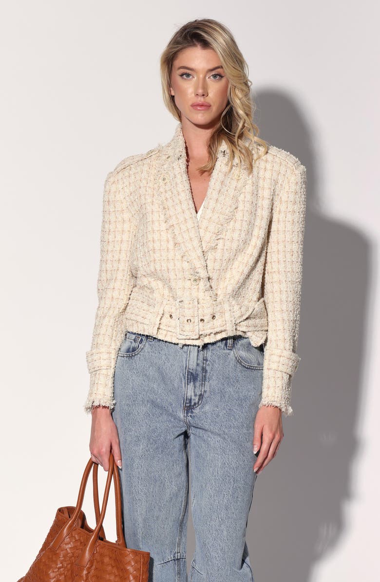 Walter Baker Vincenza Tweed Jacket, Alternate, color, Sahara Tweed