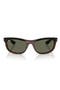 selected Black On Havana / Green Polar