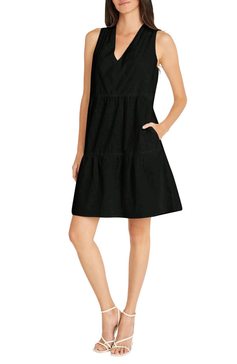 Maggy London Sleeveless Tiered Fit & Flare Dress, Alternate, color,