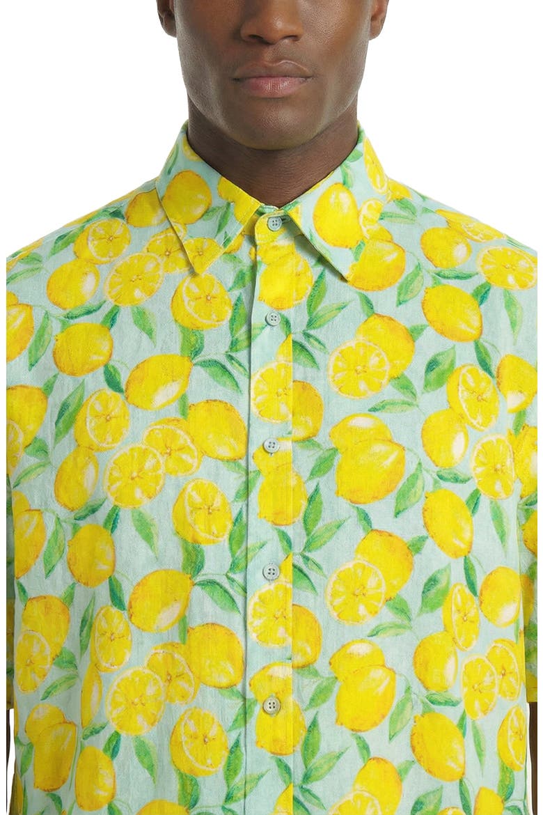 Chester Top, Alternate, color, Lemon