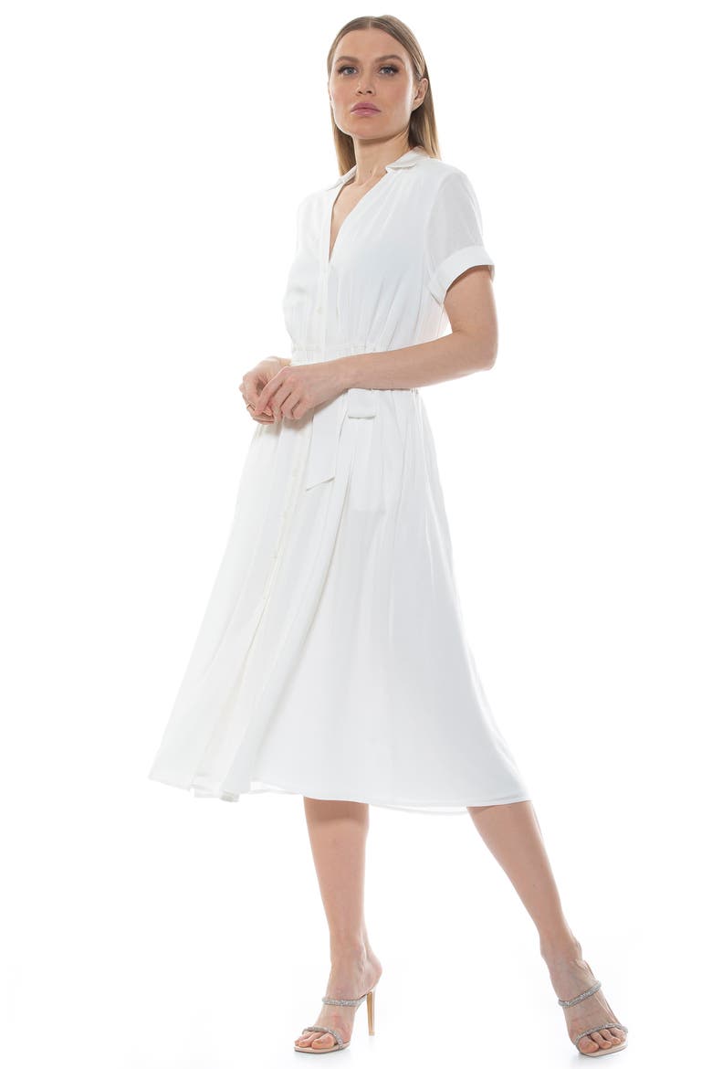Liv Collared Shirtdress, Alternate, color, IVORY