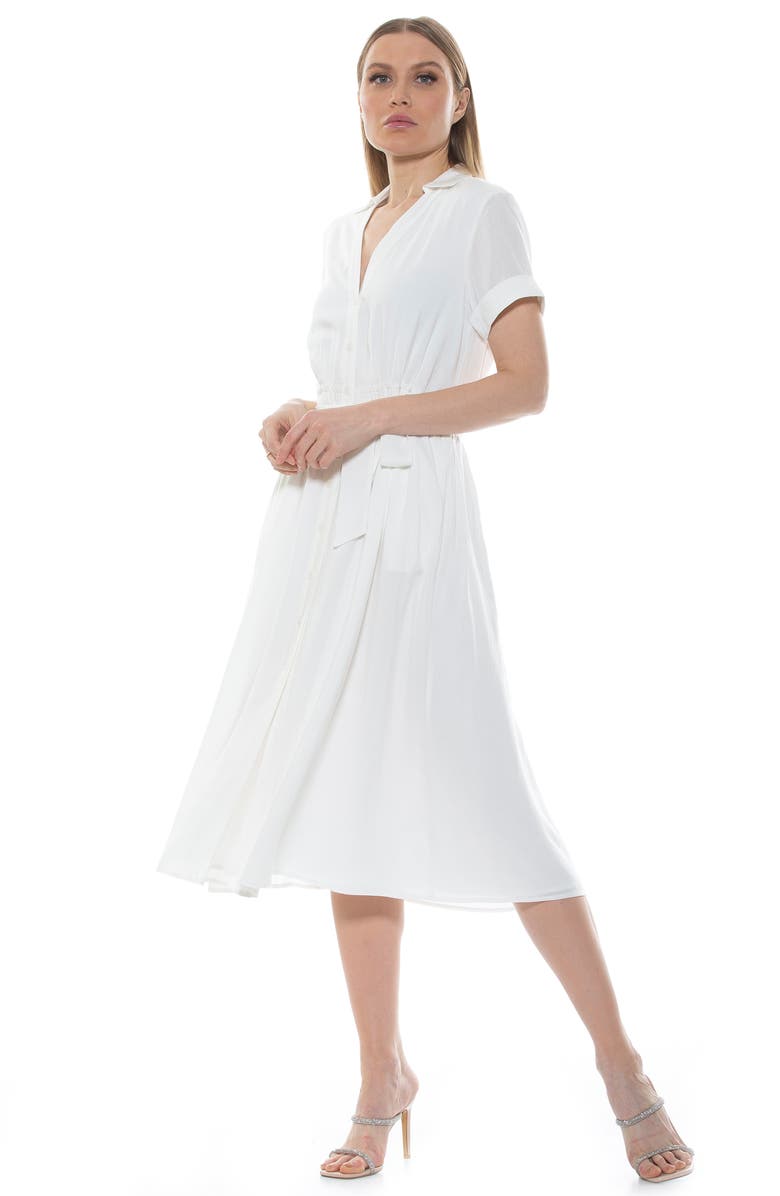 Alexia Admor Liv Collared Shirtdress, Alternate, color, 