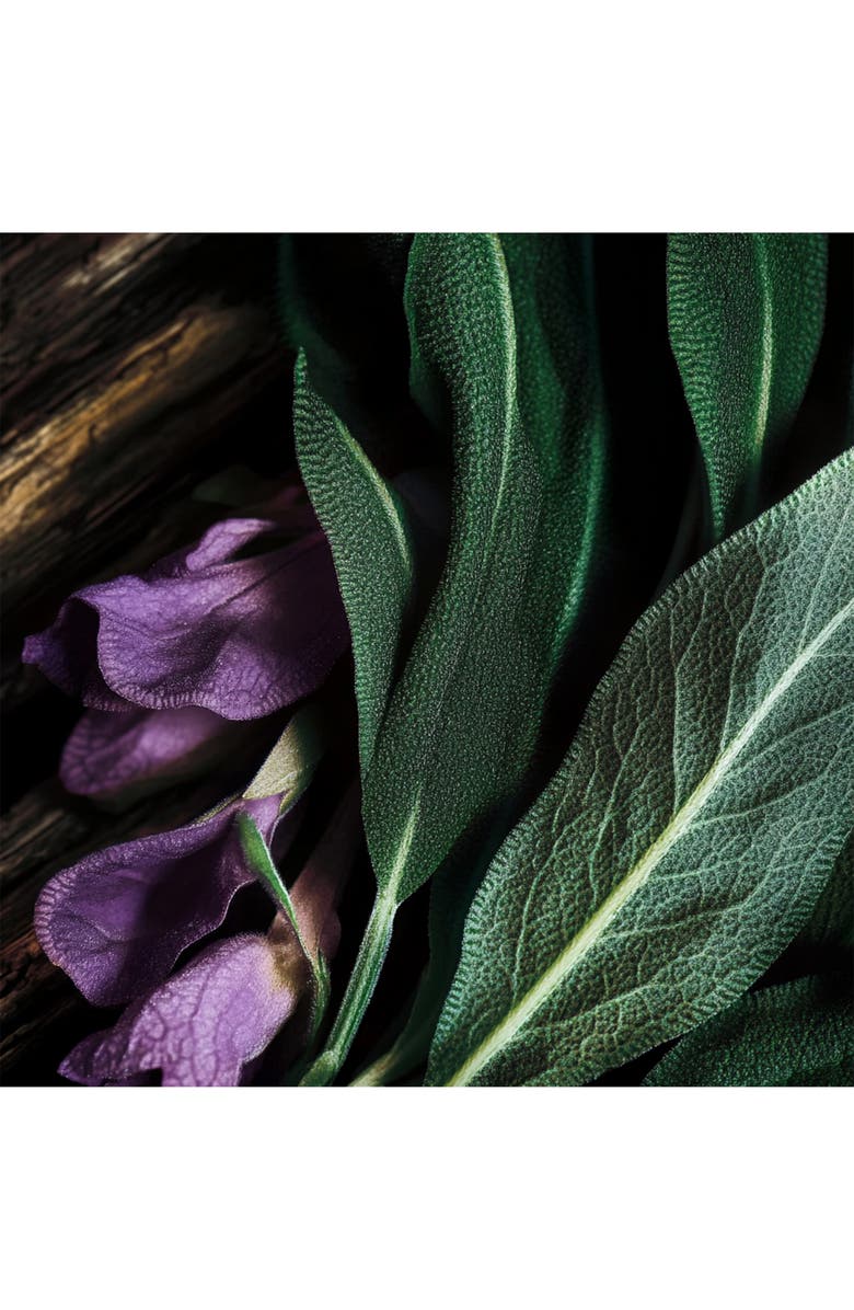 House of Sillage HOS N.003 Parfum, Alternate, color, 