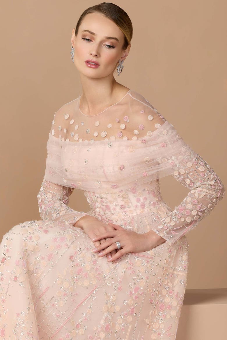 Illusion Neck Long Sleeve Embroidered Ballgown, Alternate, color, Rose