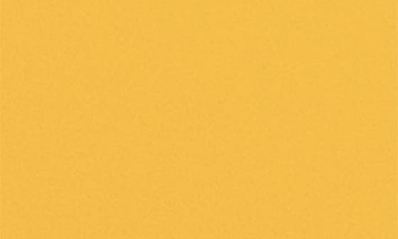 MANGO PASSION