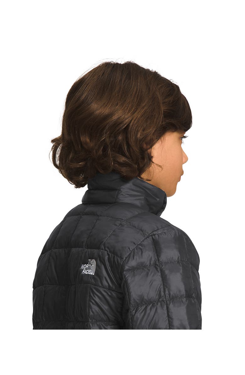 The North Face Kids' Thermoball Hooded Water Repellent Jacket, Alternate, color, 