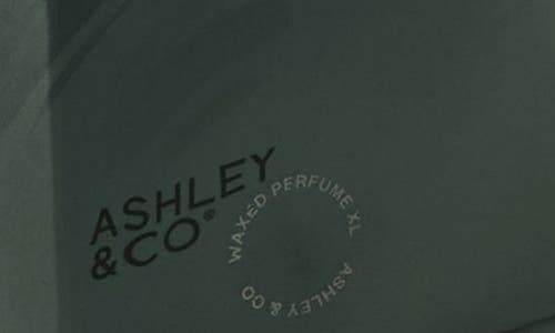 Ashley & Co Waxed Perfume Xl Scented Candle In Gray