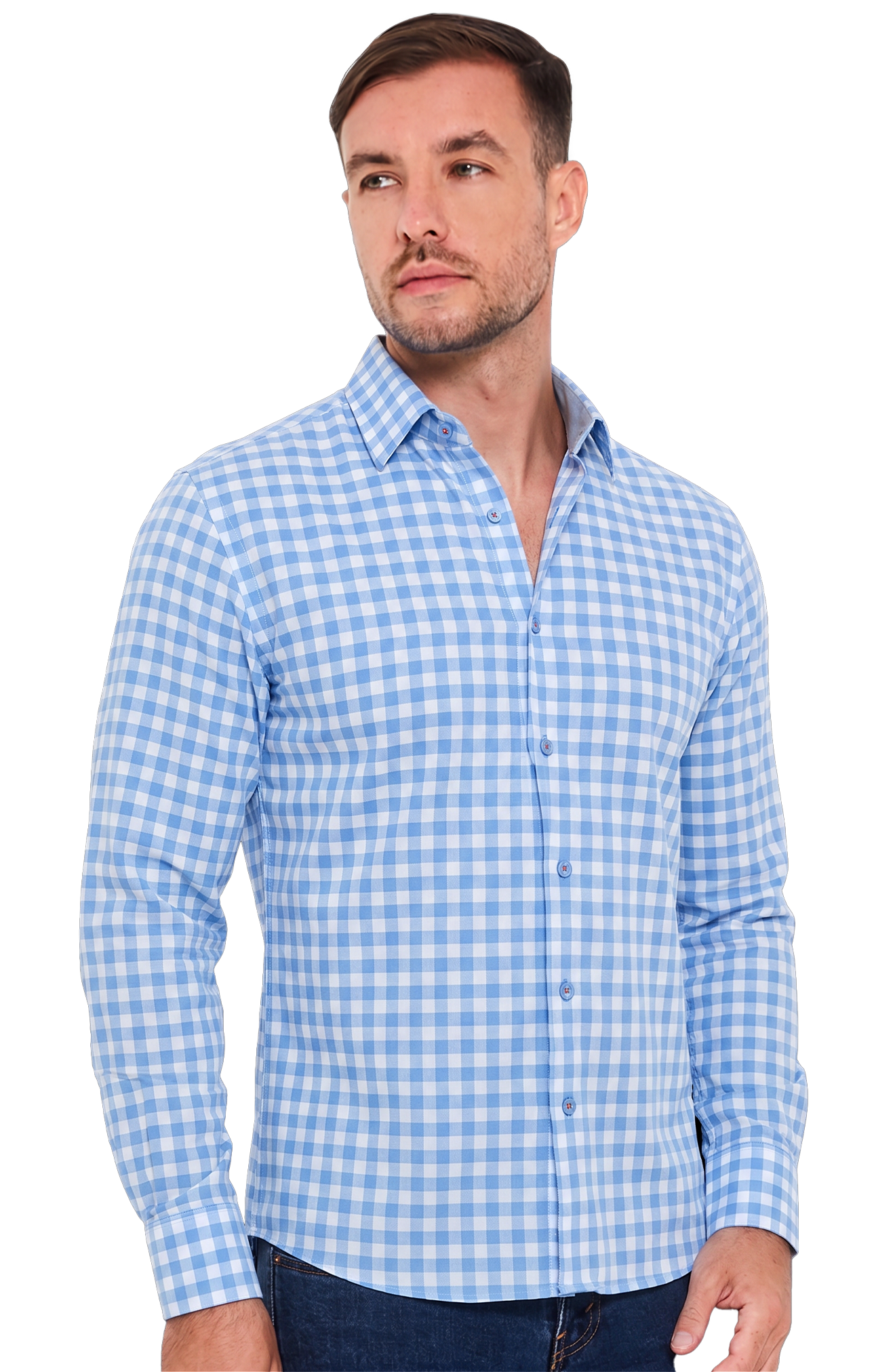 Gingham Blue