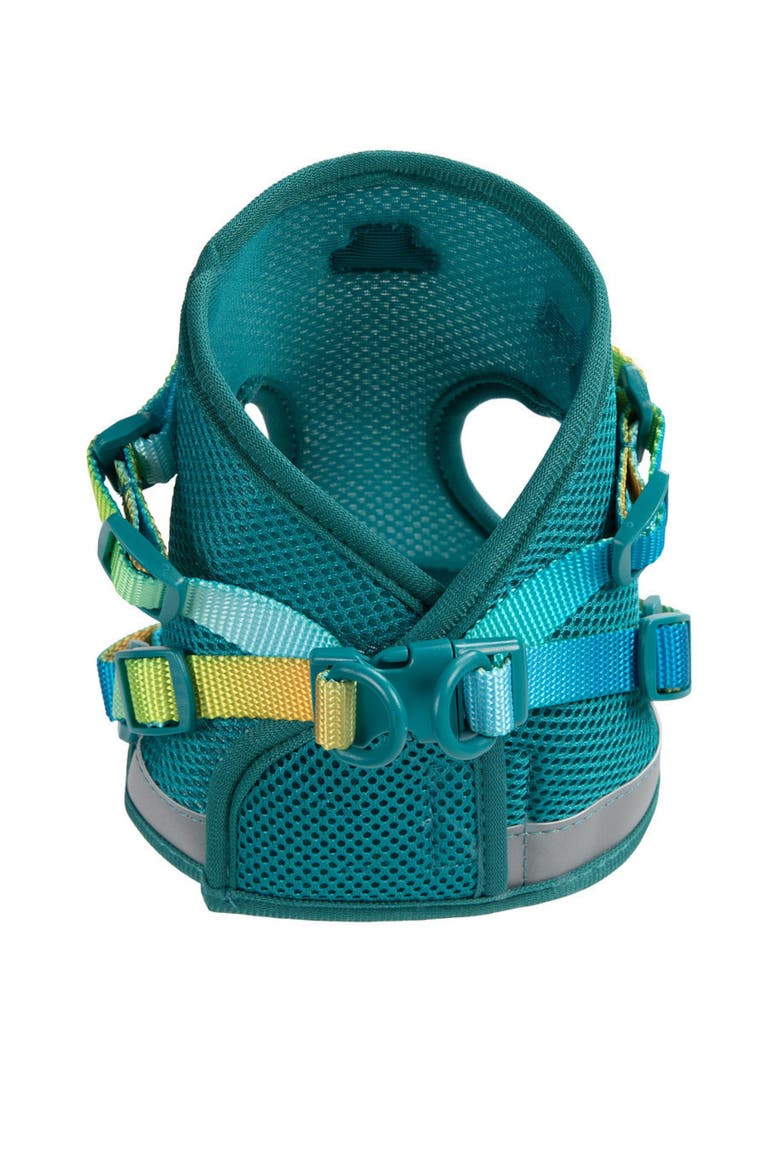 Joey Cat Harness and Leash Set, Alternate, color, Joey