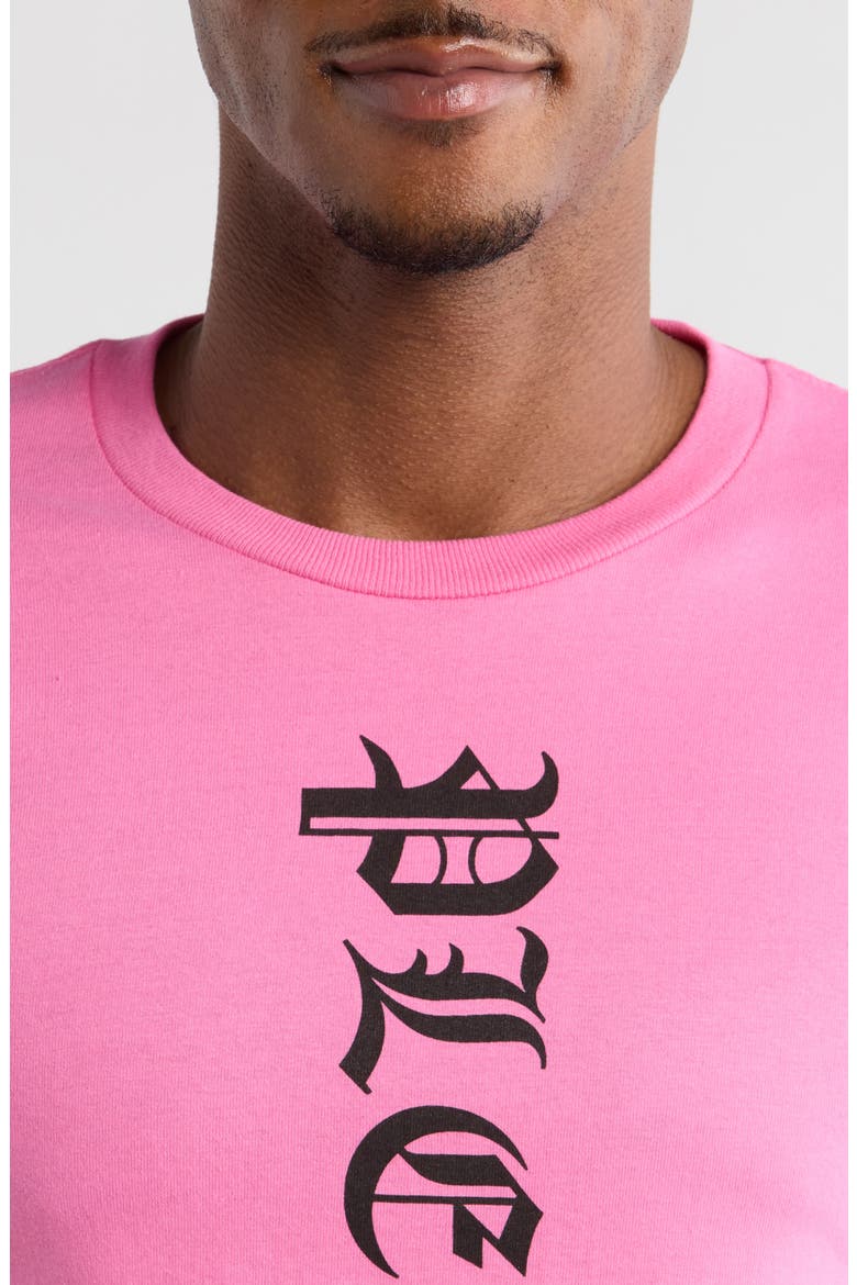 Knight Graphic T-Shirt, Alternate, color, PINK