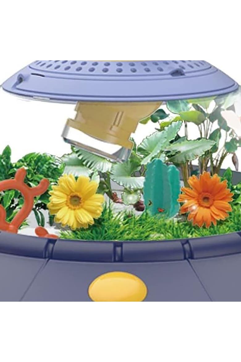Jupiter Creations Curious Mind UFO Biosphere, Alternate, color, Multicolored