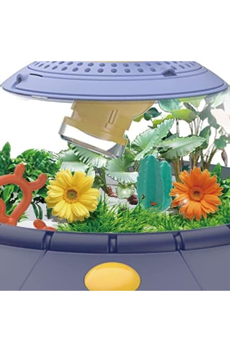 Curious Mind Jupiter Creations Curious Mind UFO Biosphere, Alternate, color, Multicolored