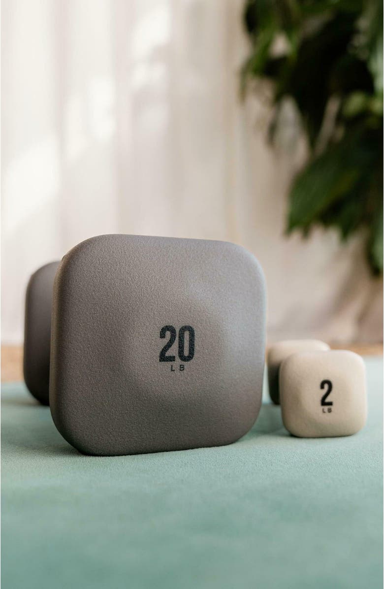 WeGym SafeGrip Dumbbells Lower Set with Dark Rack - 2, 3, 5, 8lbs, Alternate, color, Slate