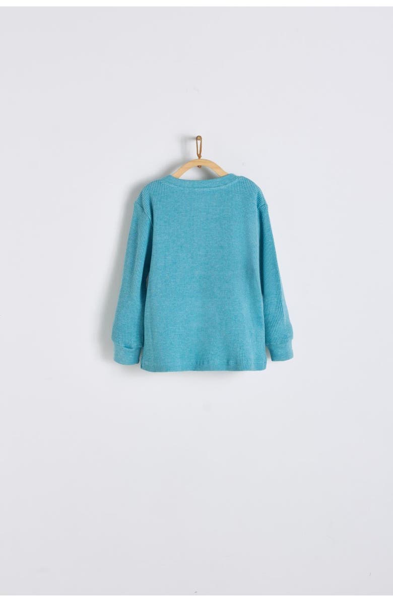 Babycottons T-Shirt Riley Pima Waffle for Toddler, Alternate, color, Green