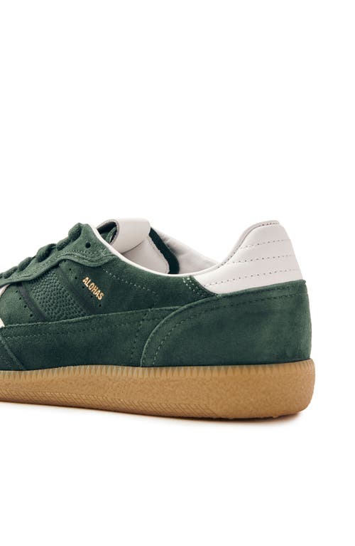 Alohas Tb.490 Suede Low-top Sneakers In Green