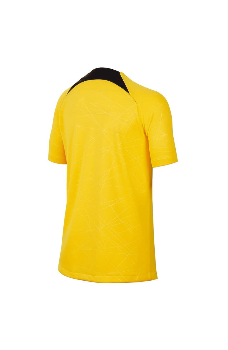 Jordan Brand Youth Jordan Brand Yellow Paris Saint-Germain Pre-Match Top, Alternate, color, 