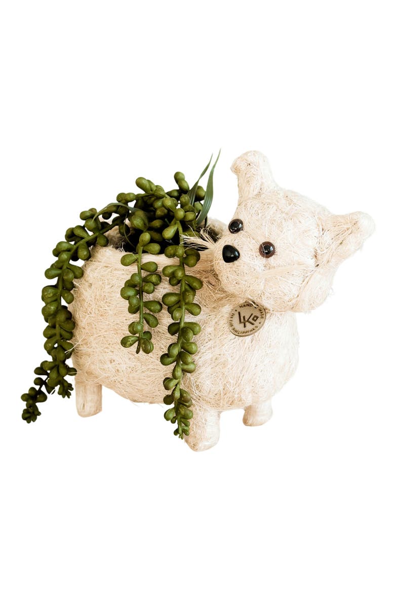 Baby Cat Handwoven Planter, Alternate, color, WHITE