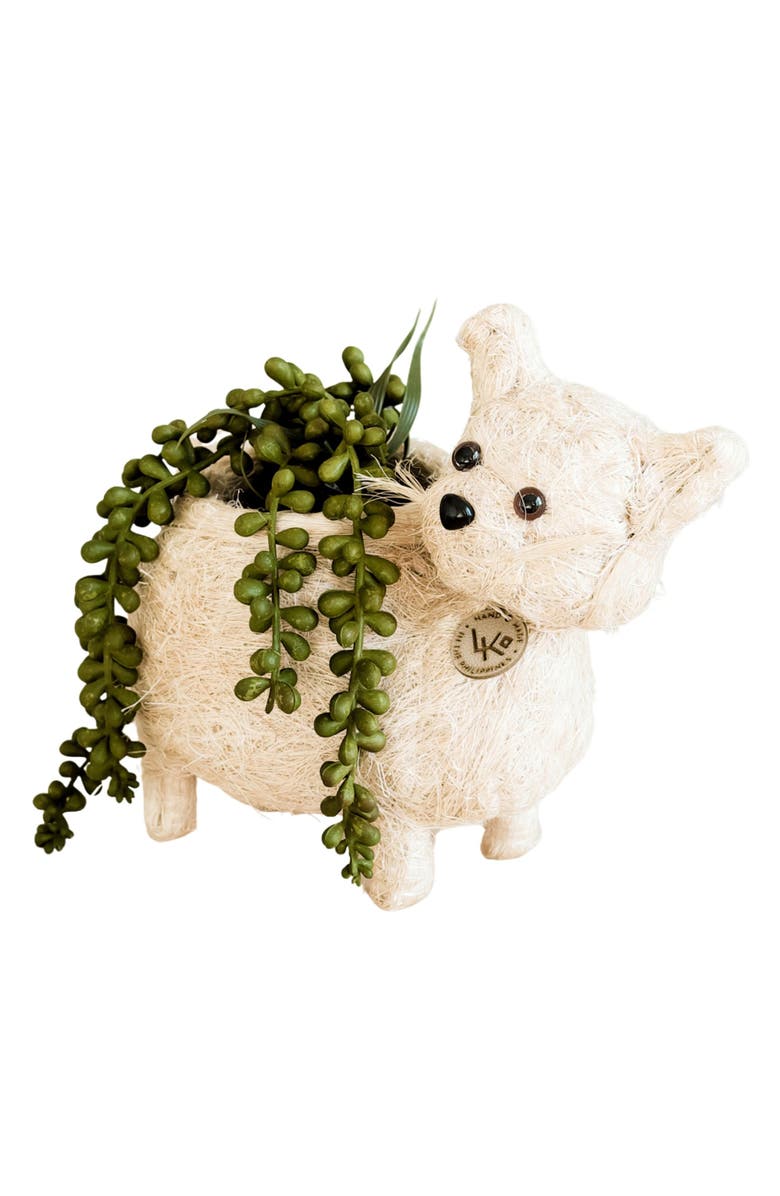 LIKHA Baby Cat Handwoven Planter, Alternate, color,