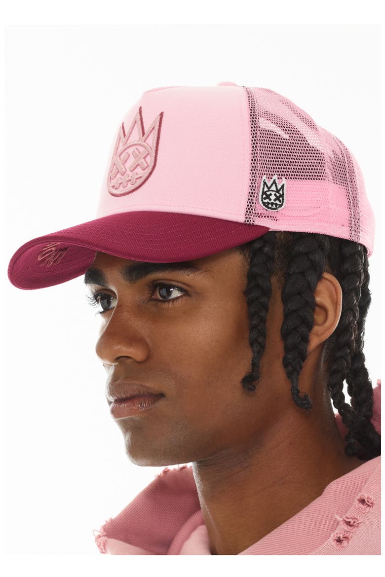 Shimuchan Logo Colorblock Trucker Hat, Alternate, color, POTPOURRI