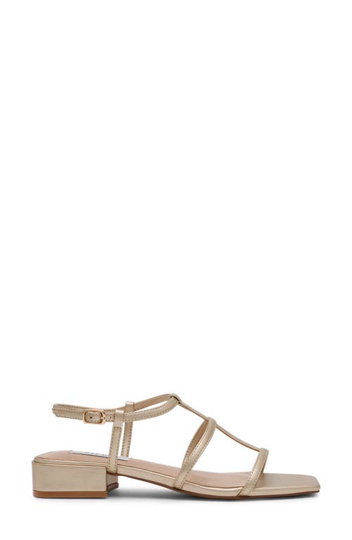 STEVEN NEW YORK STEVEN NEW YORK HAPI CAGED SANDAL 