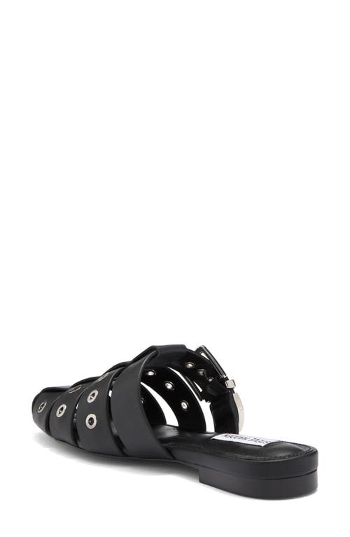 Steve Madden Ladera Mule In Black Leather