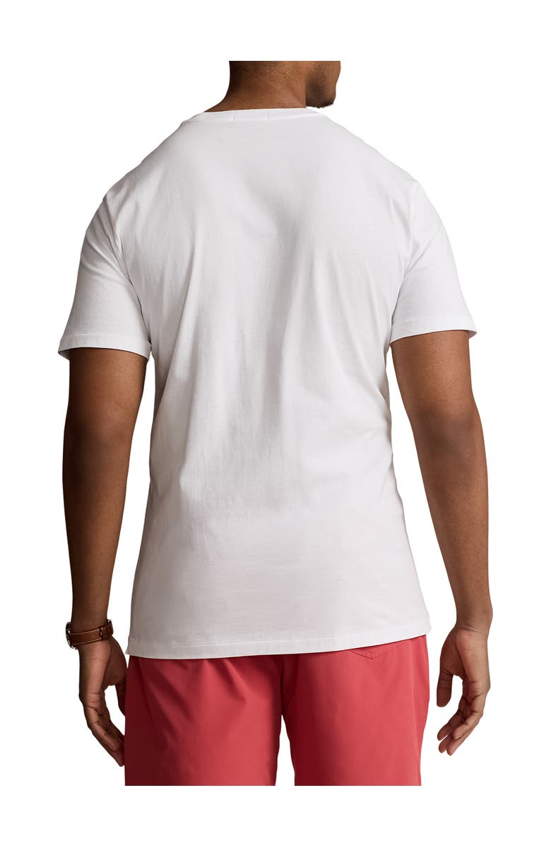 Polo Ralph Lauren Big & Tall Beach Bear Jersey T-Shirt, Alternate, color, 