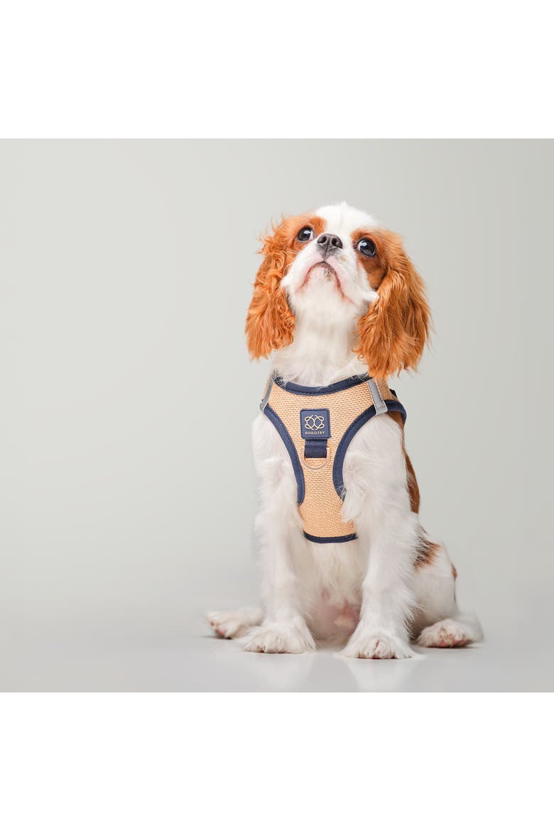 City Leash Set, Alternate, color, Hamptons