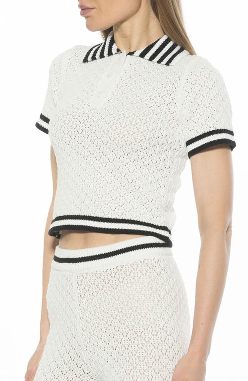 Alexia Admor Brinley Crochet Stitch Polo In Ivory