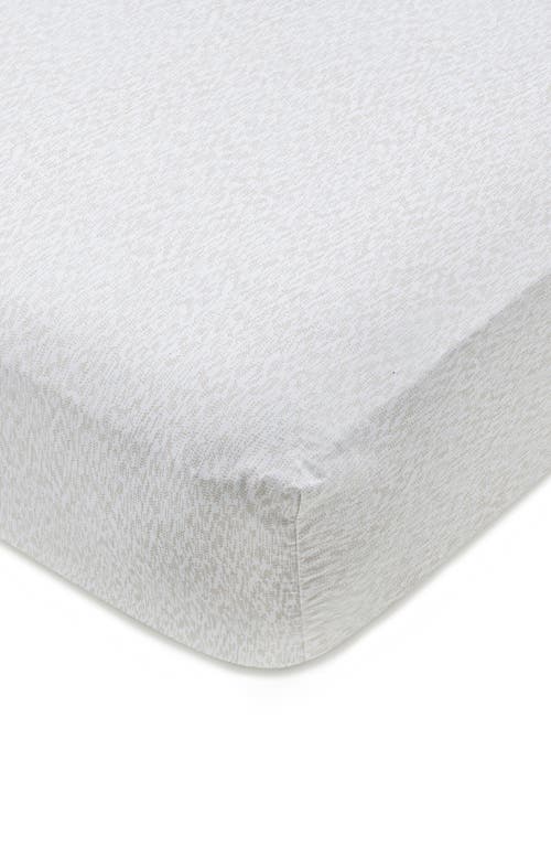 DOMANI HOME DOMANI HOME COTTON CRIB SHEET