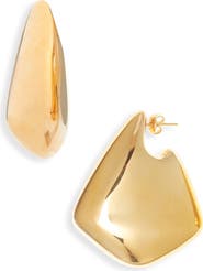 Bottega Veneta Small Vahuo Fin Earrings