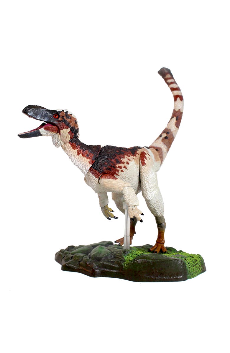 Beasts of the Mesozoic Suskityrannus Hazelae, Main, color, Multicolored