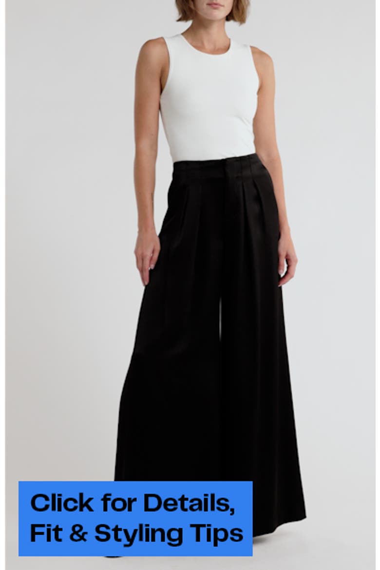 Eloise Pleated Wide Leg Pants video