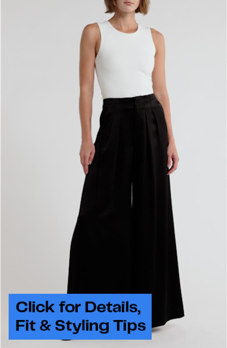 Eloise Pleated Wide Leg Pants, sales video thumbnail