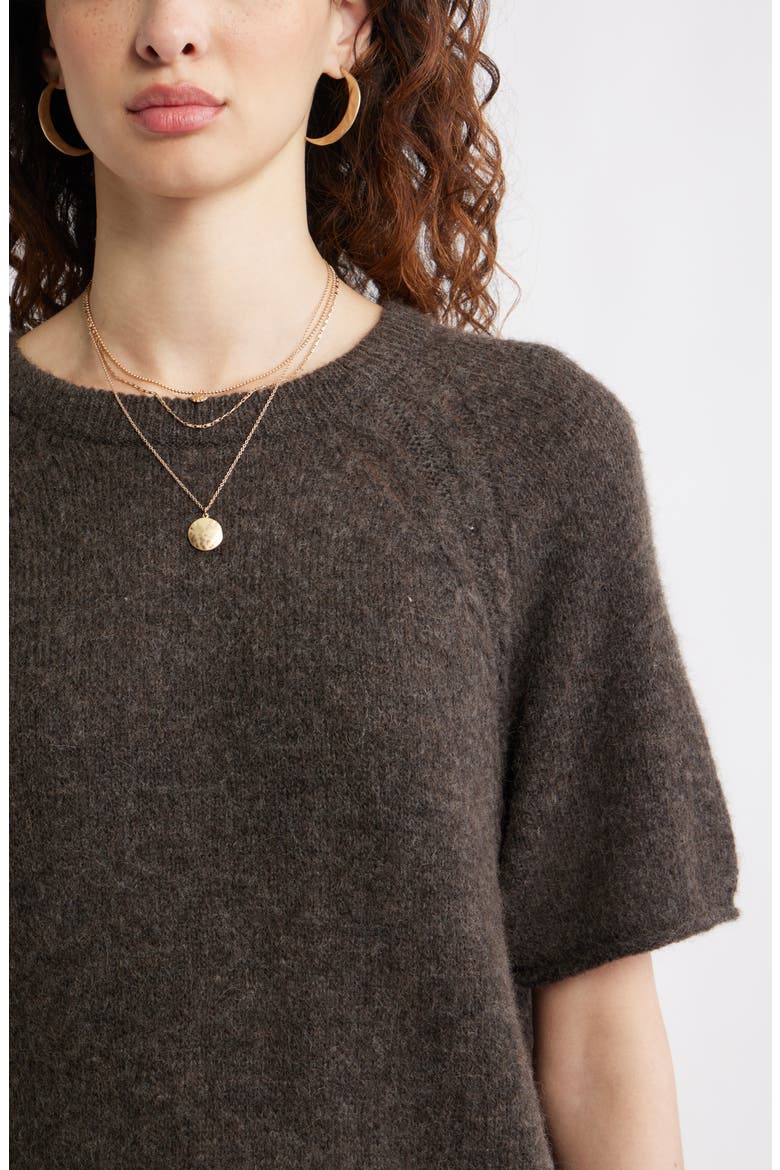 Relaxed Short Sleeve Sweater, Alternate, color, BROWN MALICACIA