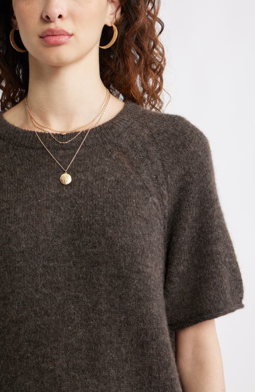 Treasure & Bond Relaxed Short Sleeve Sweater In Brown