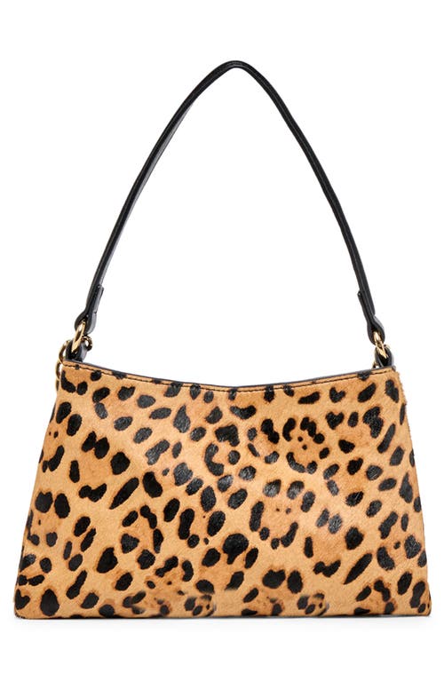 Dolce Vita Jagger Animal Print Genuine Calf Hair Shoulder Bag In Brown