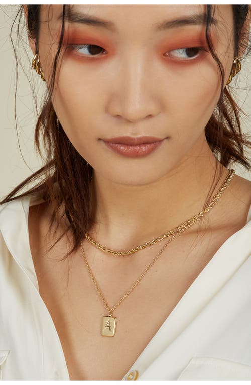 Lady Grey Rope Chain Necklace In Gold