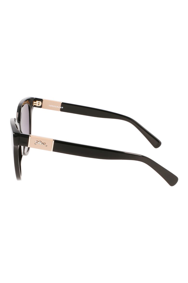 Le Pliage 53mm Gradient Round Sunglasses, Alternate, color, BLACK