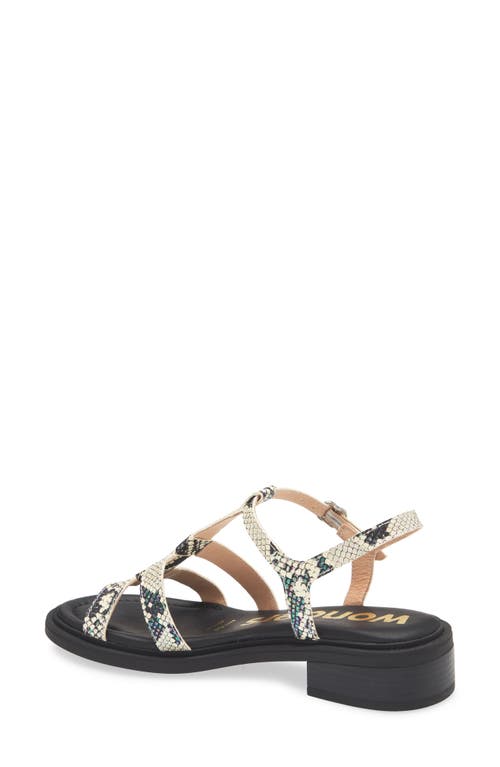 Wonders Janet Strappy Sandal In Snake Off White