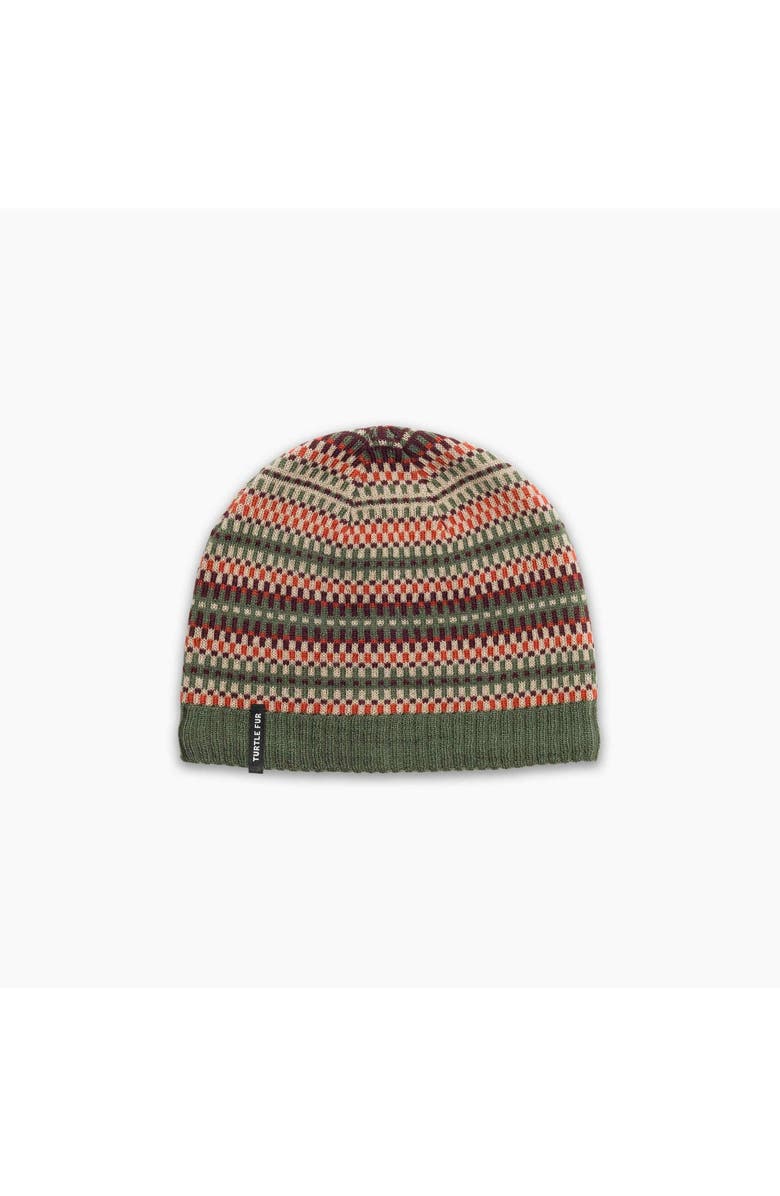 Turtle Fur Merino Wool Lloyd Beanie, Main, color, Grass