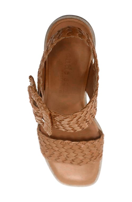 Gentle Souls Madylyn Slingback Sandal In Brown