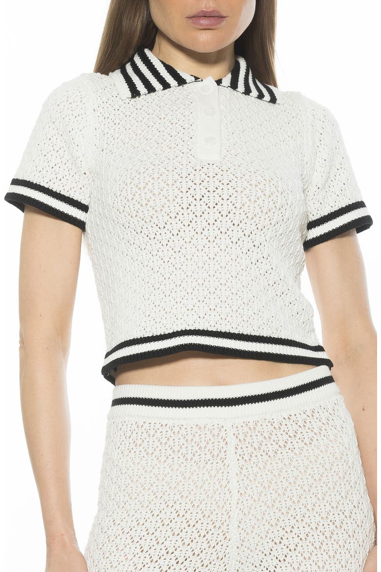 Brinley Crochet Stitch Polo, Main, color, IVORY