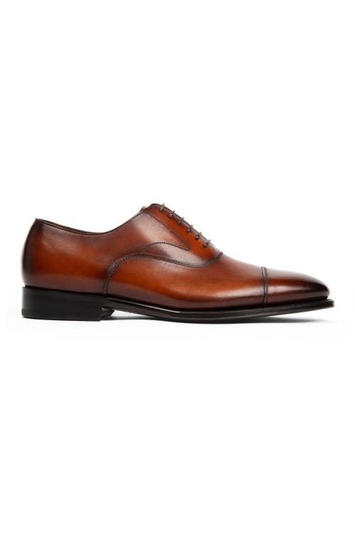 Anthony Veer Regent Cap-toe Oxford In Rustic Ember Cognac