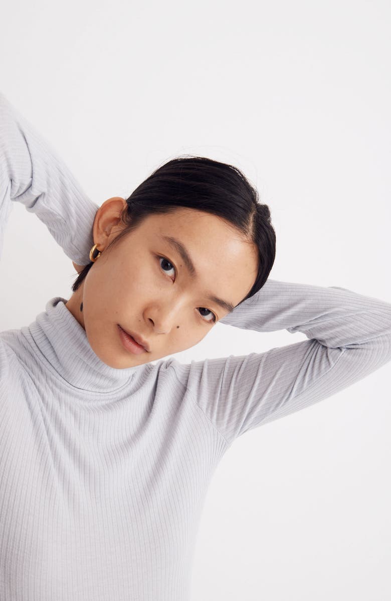 Madewell Lightweight Ribbed Turtleneck Top, Alternate, color, 