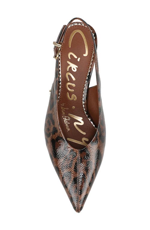 Circus Ny By Sam Edelman Fawn Pointed Toe Slingback Pump In Brown