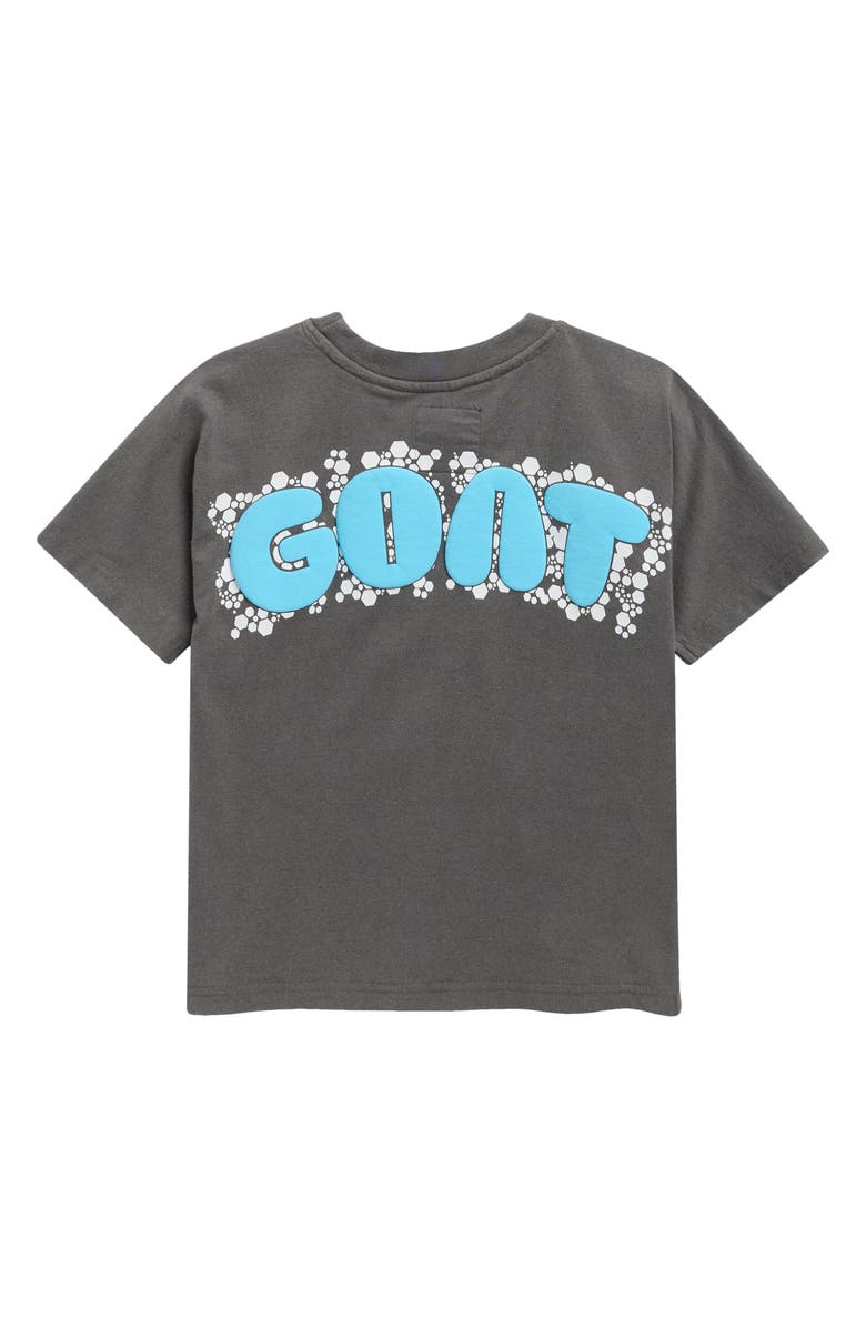 Fly By Night Kids' Travis Graphic T-Shirt, Alternate, color, Poppy Seed/ Goat