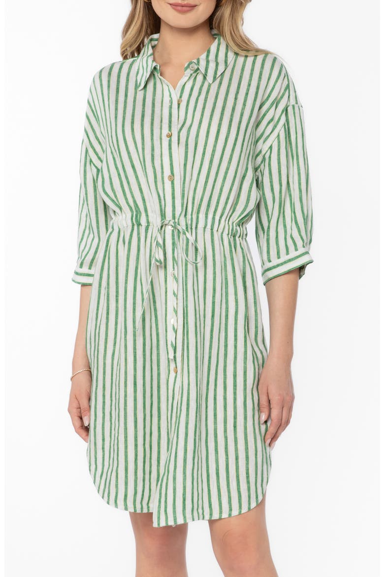 Jenneva Shirtdress, Alternate, color, GREEN FOLIAGE STRIPE