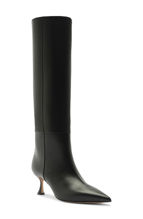 Alexandre Birman Brena Pointed Toe Knee High Boot In Black